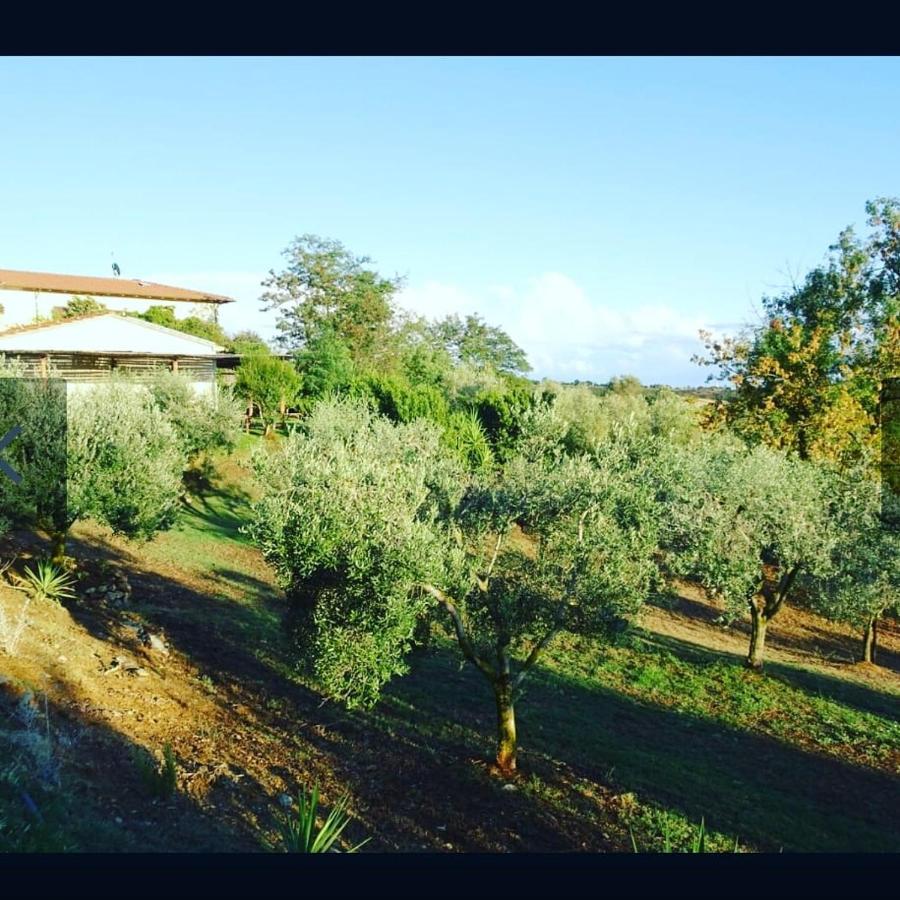 Agriturismo Colleverde กาปัลบีโอ ภายนอก รูปภาพ
