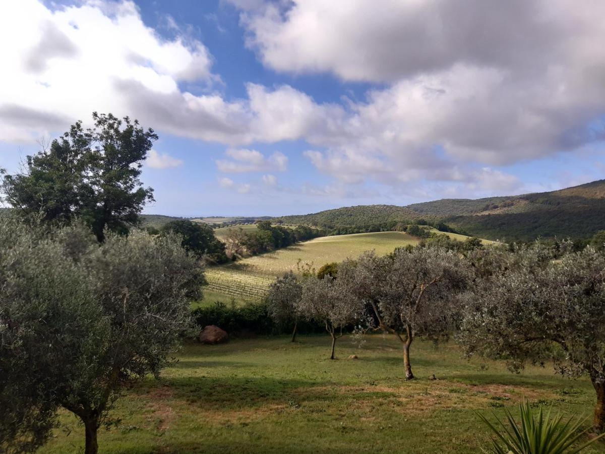 Agriturismo Colleverde กาปัลบีโอ ภายนอก รูปภาพ