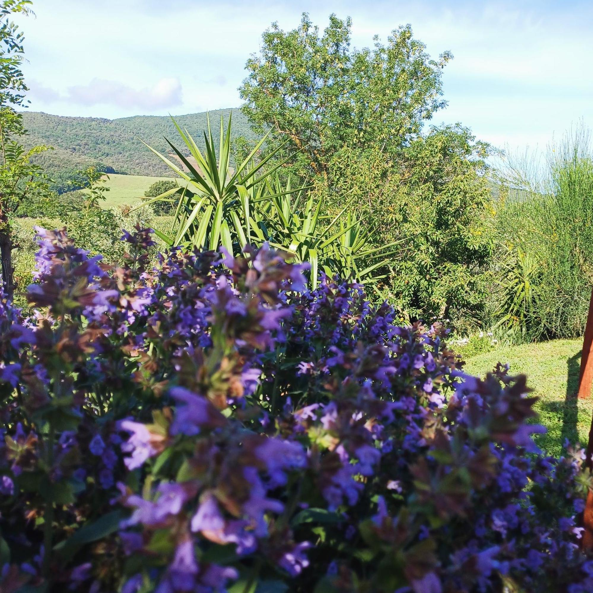 Agriturismo Colleverde กาปัลบีโอ ภายนอก รูปภาพ