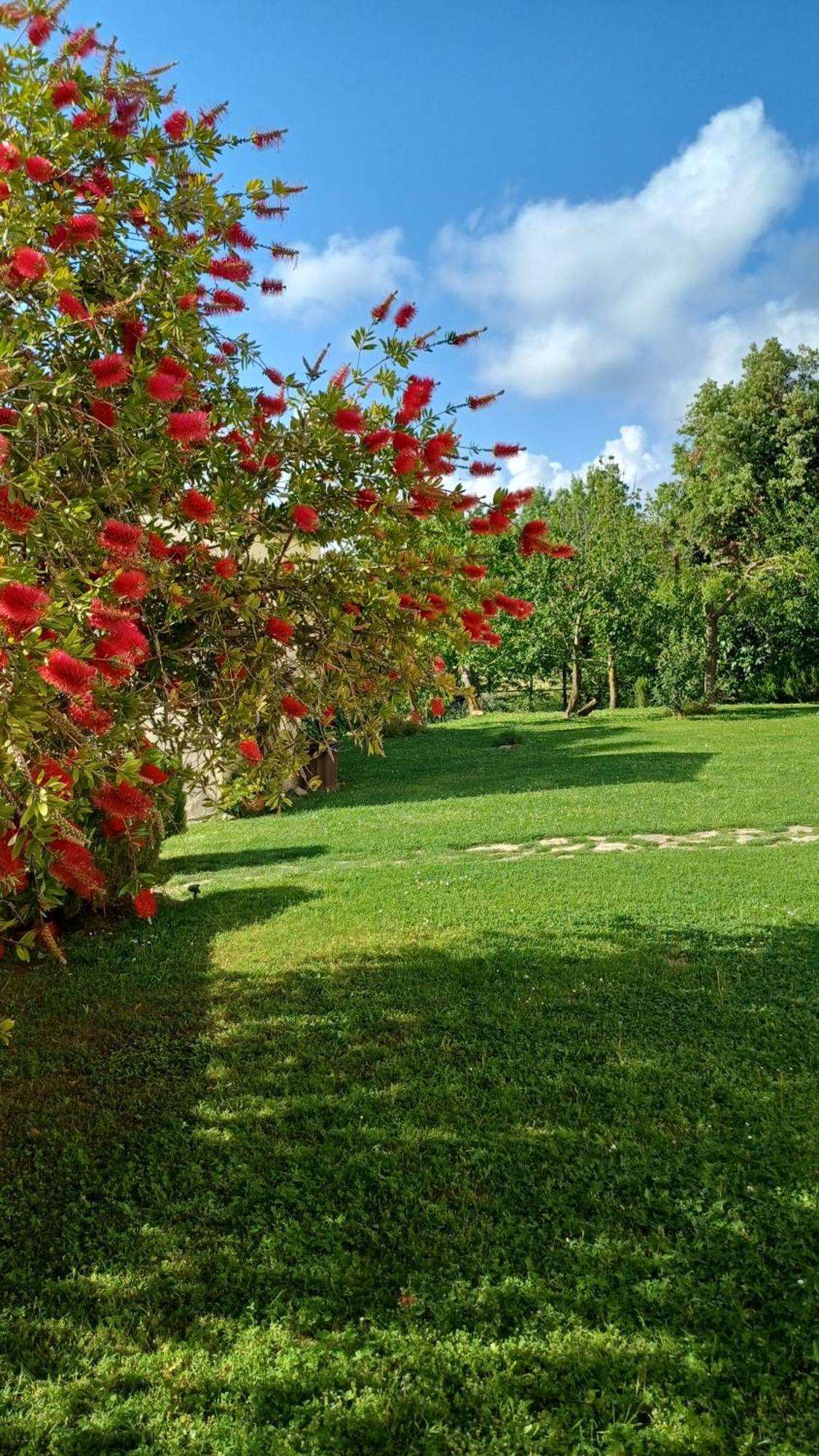 Agriturismo Colleverde กาปัลบีโอ ภายนอก รูปภาพ