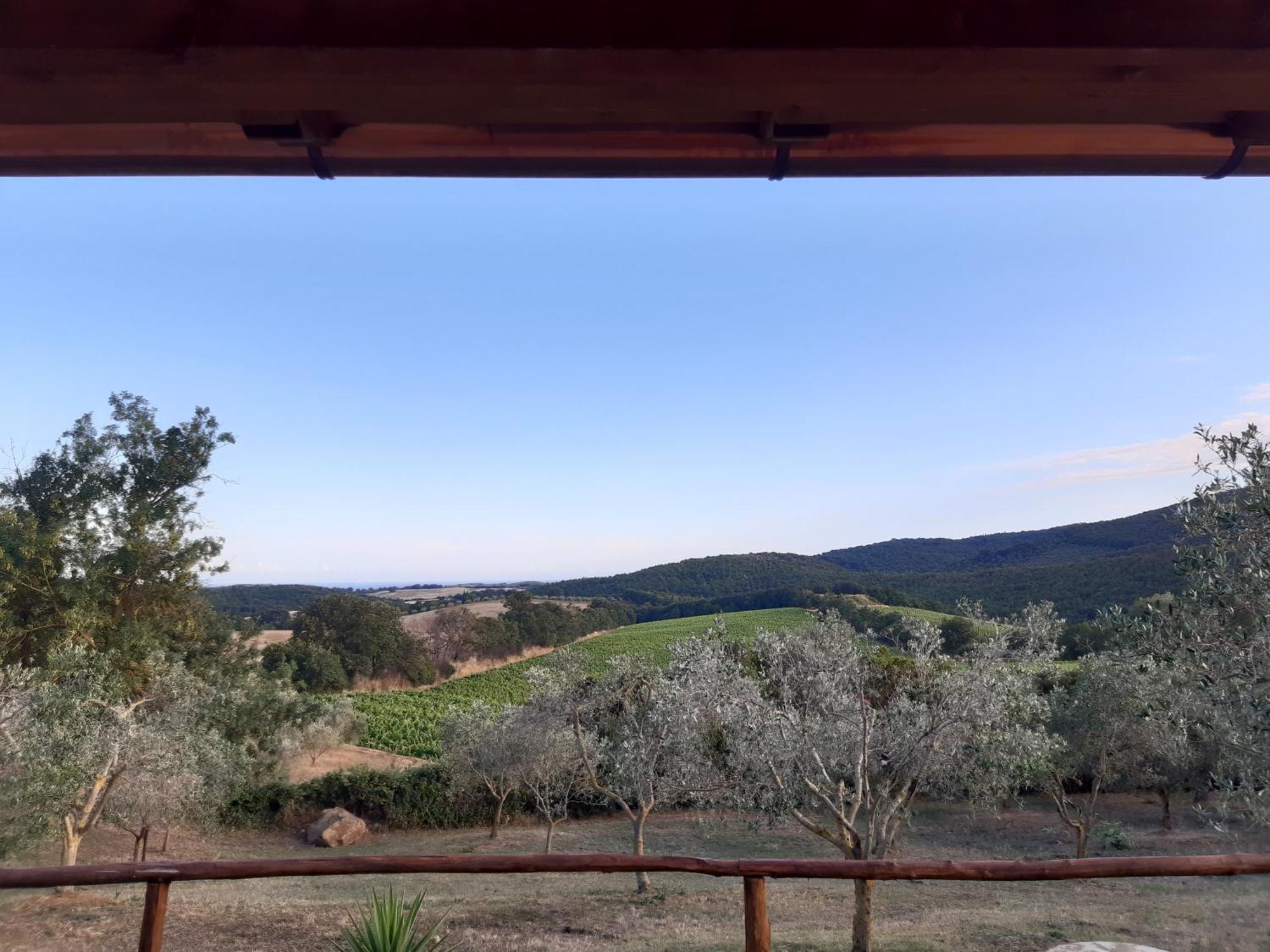 Agriturismo Colleverde กาปัลบีโอ ห้อง รูปภาพ