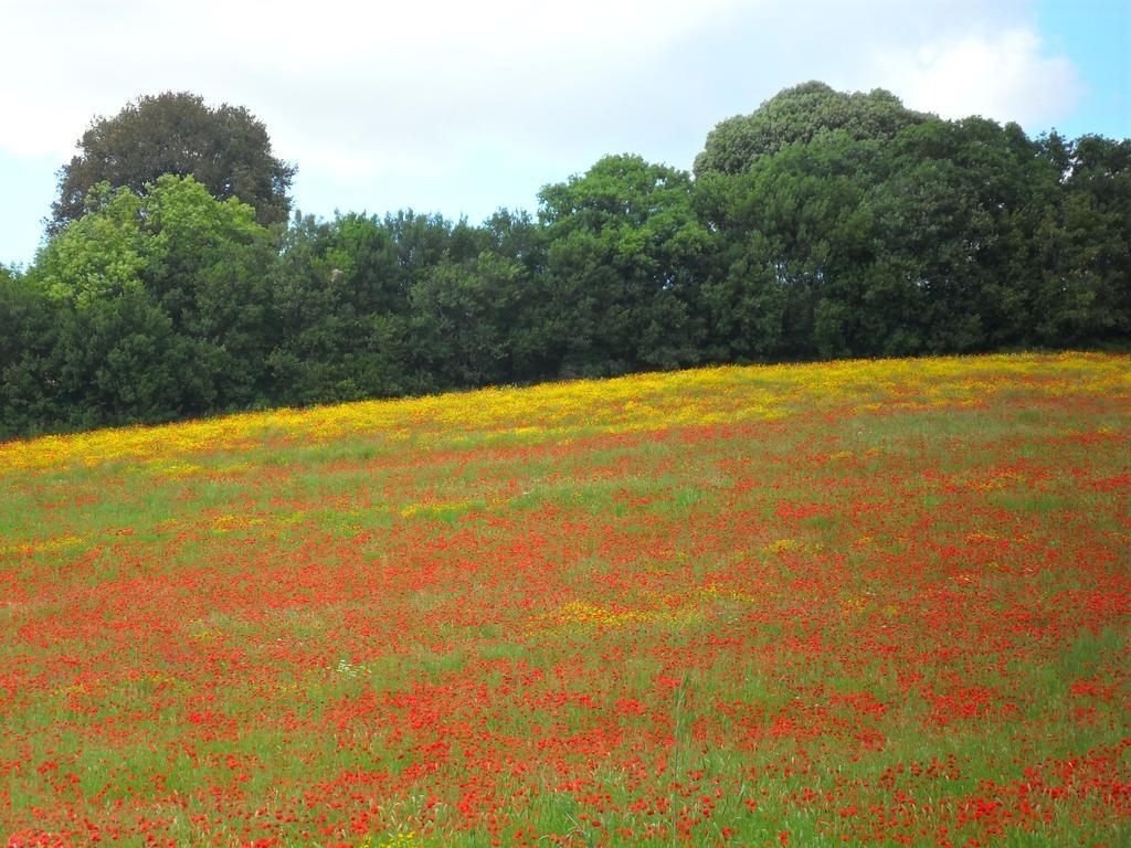 Agriturismo Colleverde กาปัลบีโอ ภายนอก รูปภาพ